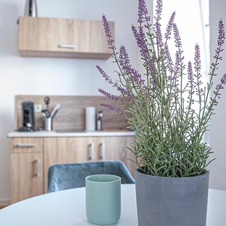 Apartment Kabinett Zell Экстерьер фото
